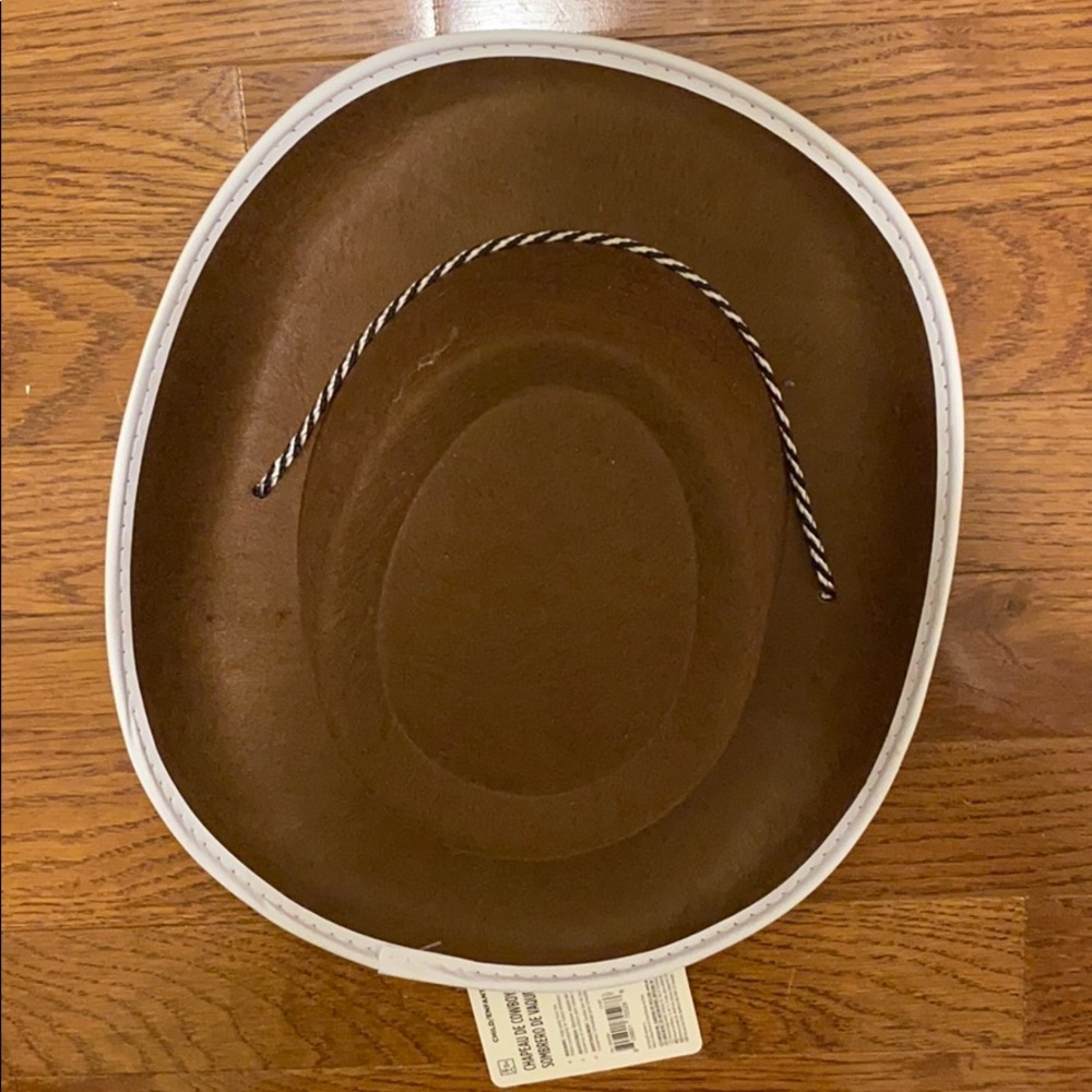 Brown cowboy hat